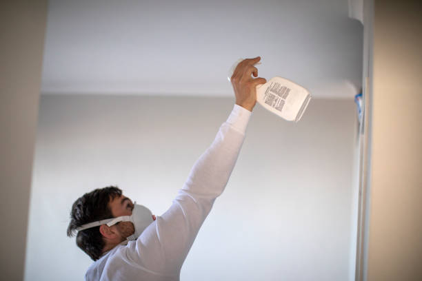 Best Residential Mold Remediation in Dumont, NJ